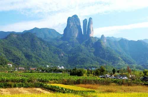 网站建设的最佳时机选择(图1)